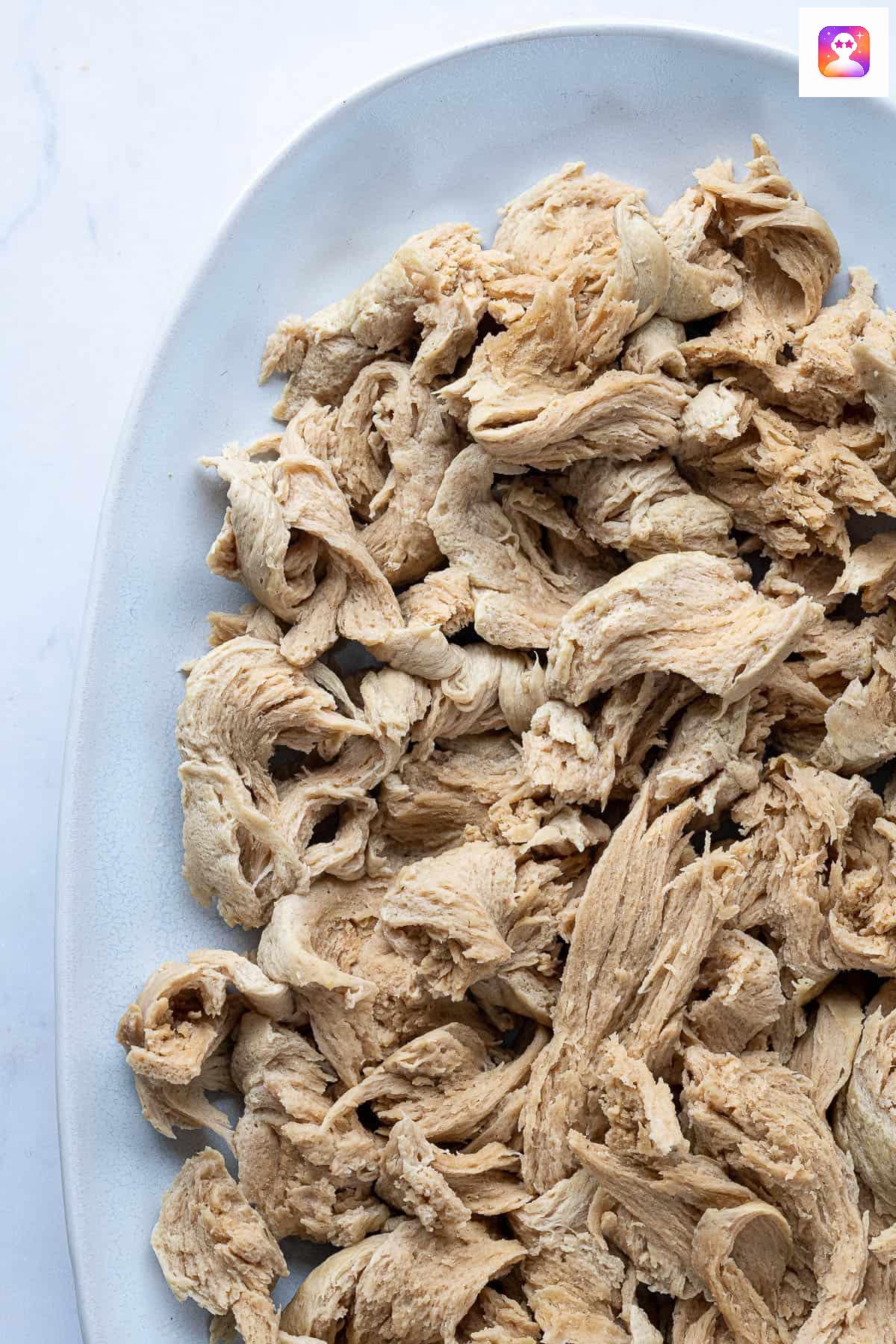 Close up of seitan chicken on a plate.